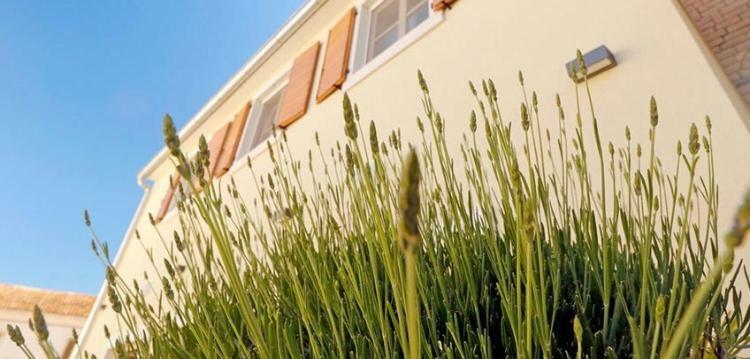 Studio Apartman Dado Leilighet Bale Eksteriør bilde